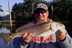 Redfish candy victim