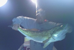 Night fishing for big redfish