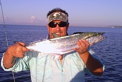 Nice Spanish mackerel